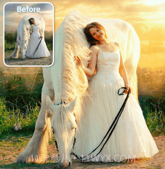 魔法照片实验室v4.19截图