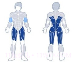 练练健身v23.05.20截图