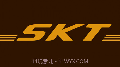 skcam14.1.0.0.12截图