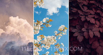 美妙壁纸馆v1.21截图