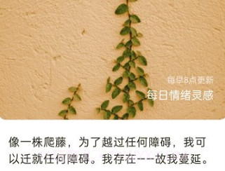 四季来电秀v1.0.21截图