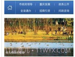 重庆政务服务网v2.3.21截图