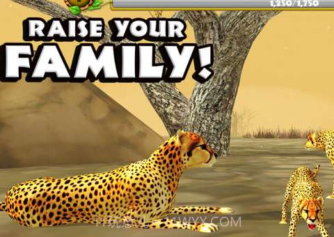 猎豹模拟v1.22截图