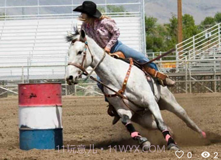 PonyPlace马匹交易v0.0.24截图