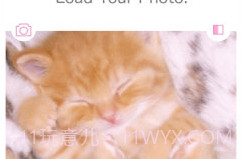 WataameCamera最新版V1.21截图