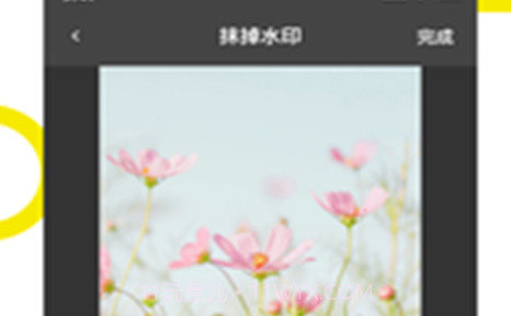 快抖去水印大师v1.1.24截图