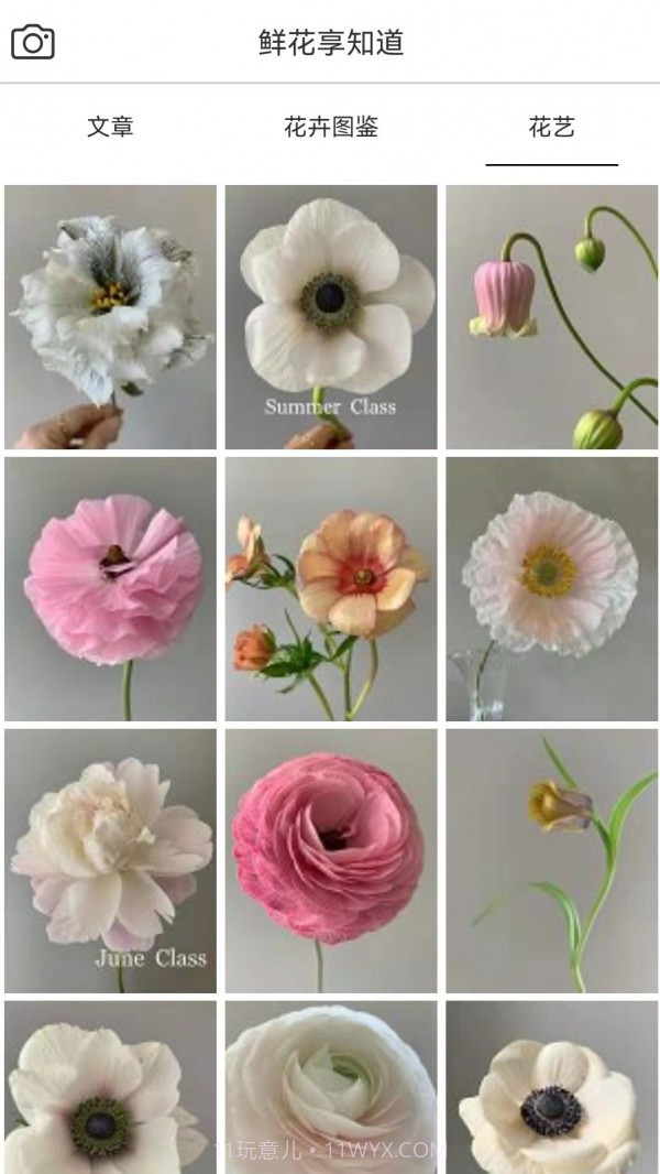 鲜花助力物理截图3 鲜花助力物理截图3