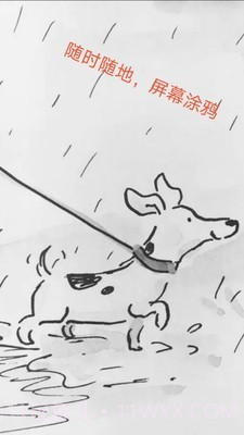 屏幕坏屏检测截图2 屏幕坏屏检测截图2