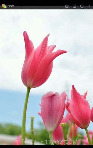 NIKONIMAGESPACE截图3