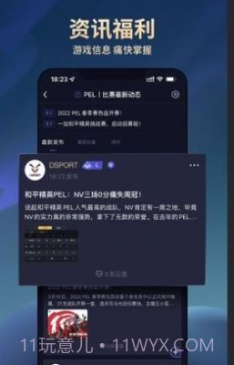 dsport电竞截图2 dsport电竞截图2