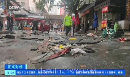 神鸟电视app正式版下载截图2