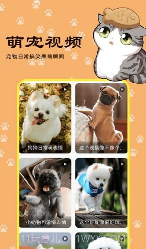 橙猫截图3 橙猫截图3