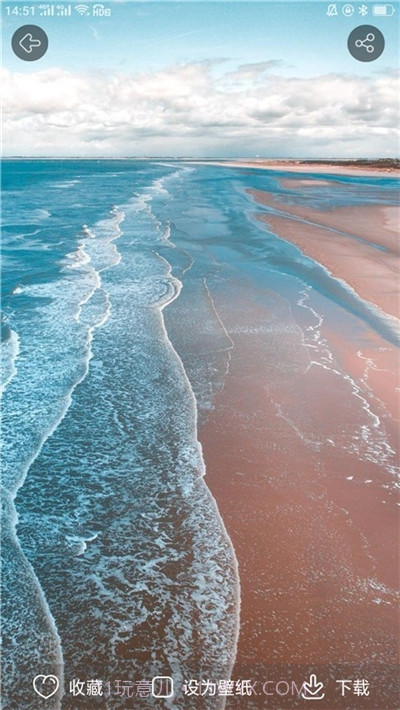 动态壁纸大全官方版截图2