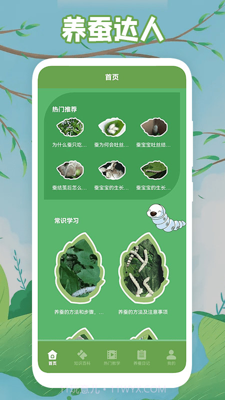 快乐养蚕截图1 快乐养蚕截图1