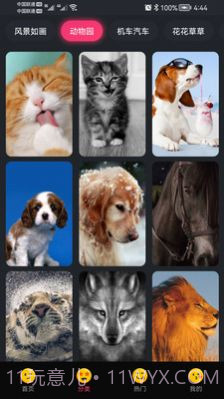 轻甜心截图2 轻甜心截图2