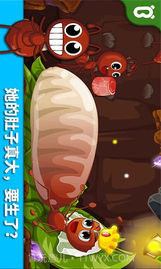 宝宝巴士宝宝认蚂蚁截图1 宝宝巴士宝宝认蚂蚁截图1