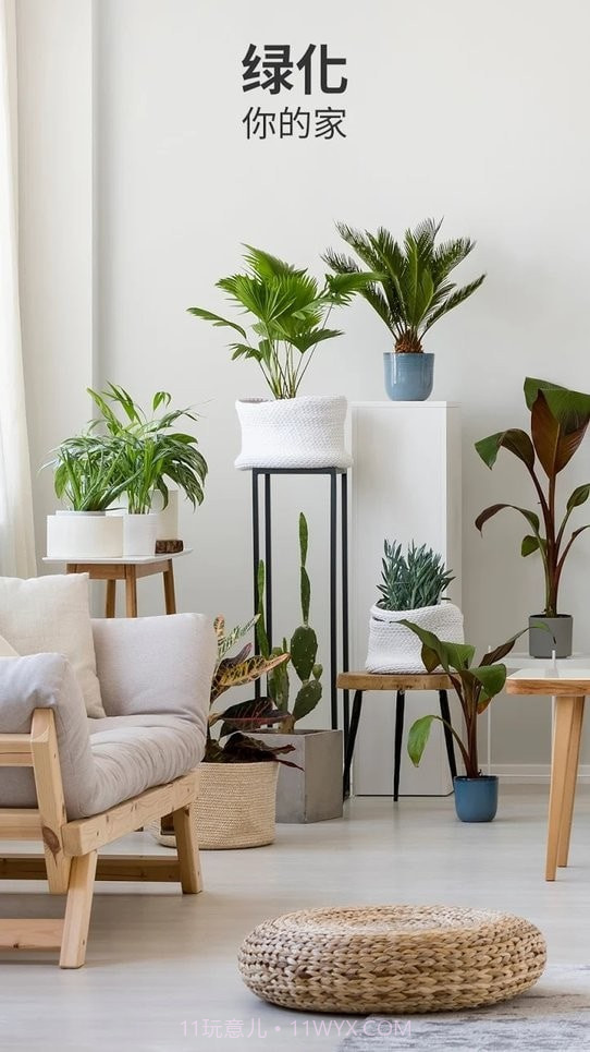 Blossom植物识别截图4 Blossom植物识别截图4