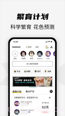看猫截图4 看猫截图4