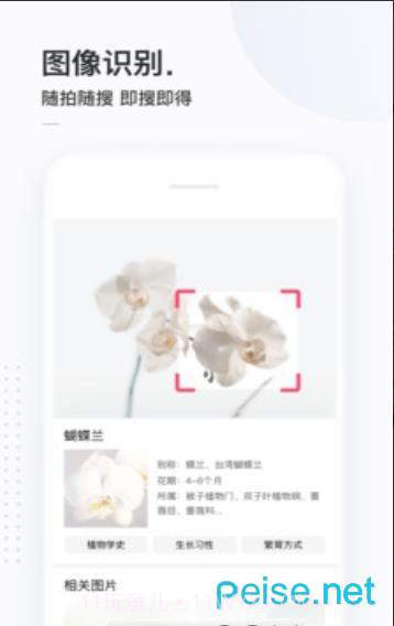 二哈搜索1.1.5截图2 二哈搜索1.1.5截图2