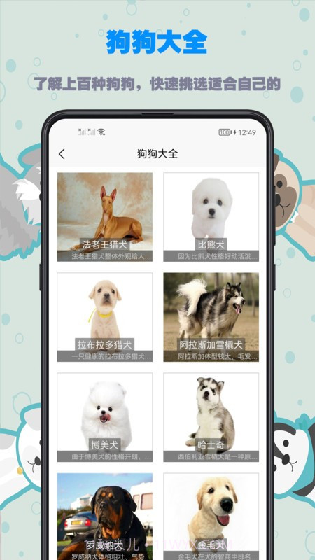 训狗教程截图3