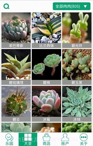 多肉植物截图1 多肉植物截图1