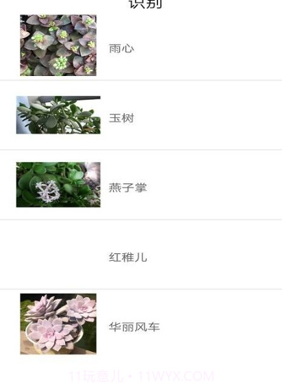 品植-植物识别软件截图2 品植-植物识别软件截图2