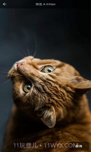 4D动态壁纸截图1