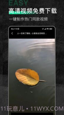 口袋今日素材截图2