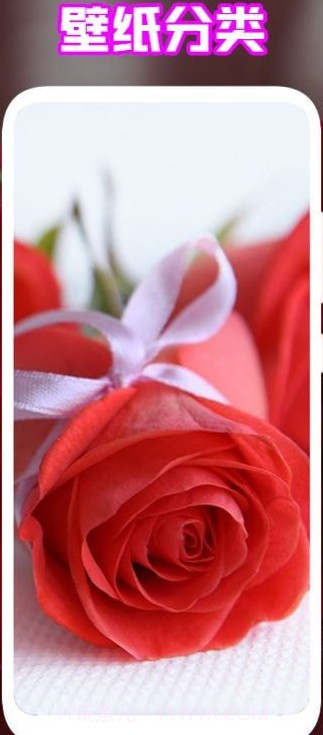 手机能量起源截图2