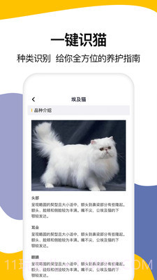 猫语翻译大全截图4 猫语翻译大全截图4