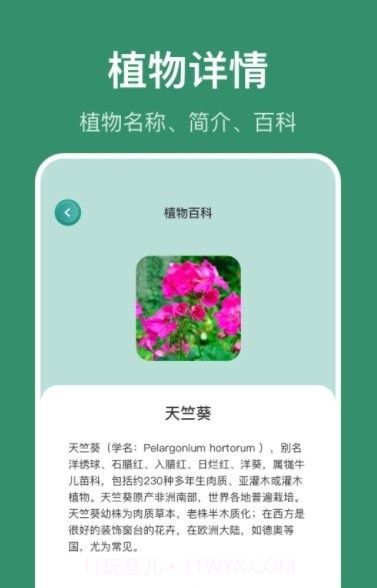 花仙识花草截图1 花仙识花草截图1