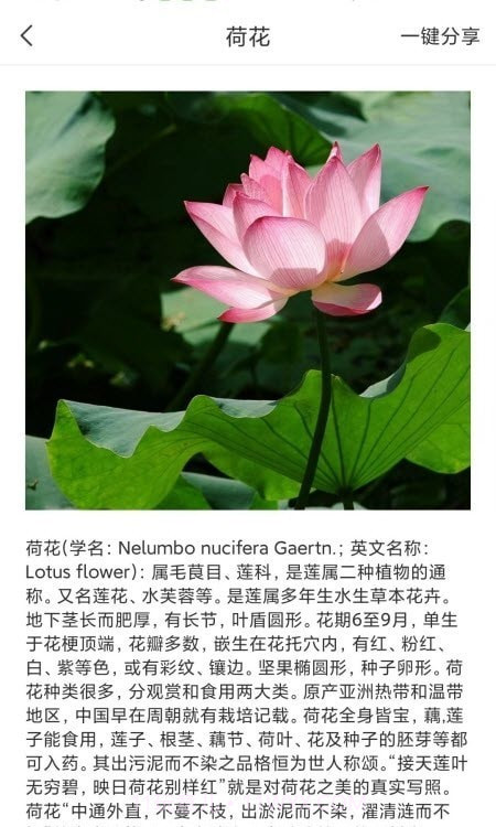 拍照识物全能王截图1