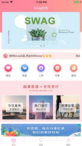 台湾swag网站截图1