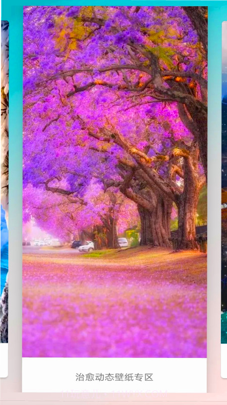 爱动态壁纸截图1 爱动态壁纸截图1