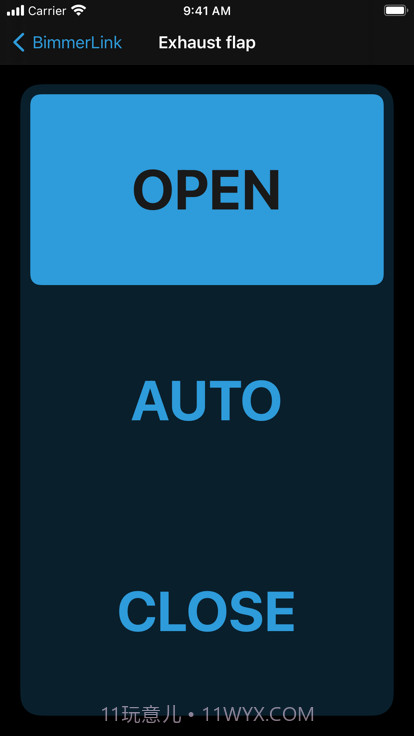 BimmerLink传感器截图3 BimmerLink传感器截图3