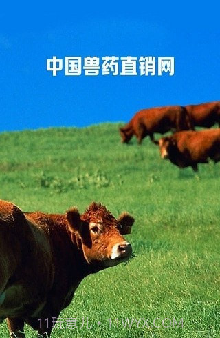 兽药直销网截图1