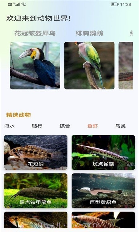 广场动物园截图3