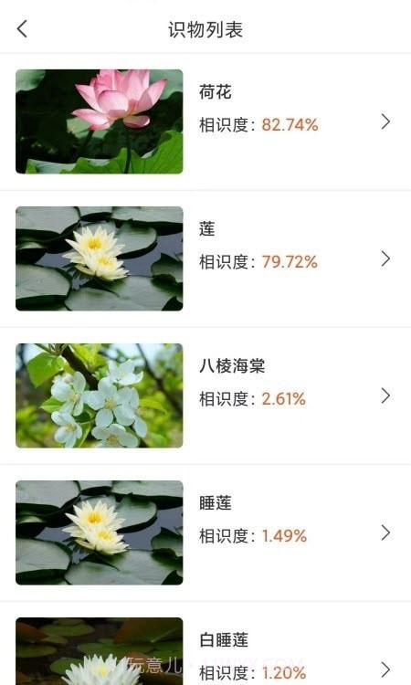 拍照识物全能王截图2