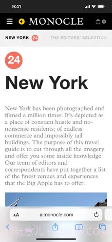 Safari Browser截图1