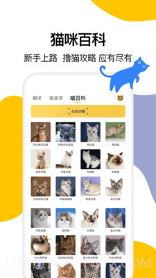 猫语翻译大全截图3 猫语翻译大全截图3