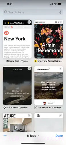 Safari Browser截图2