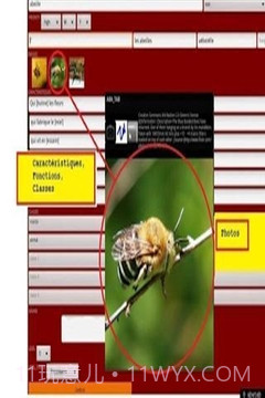 ABA自闭症教育截图2