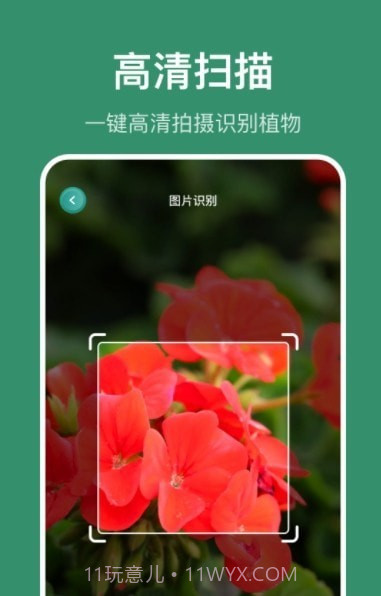 花仙识花草截图2 花仙识花草截图2