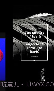 vue(VUE Vlog)截图3