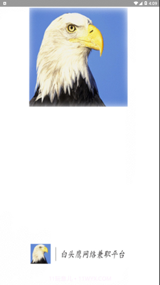 白头鹰网络兼职截图1 白头鹰网络兼职截图1
