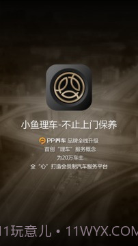 PP车截图1