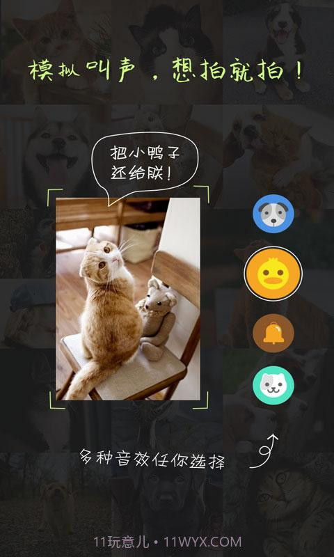 萌宠相机截图2 萌宠相机截图2