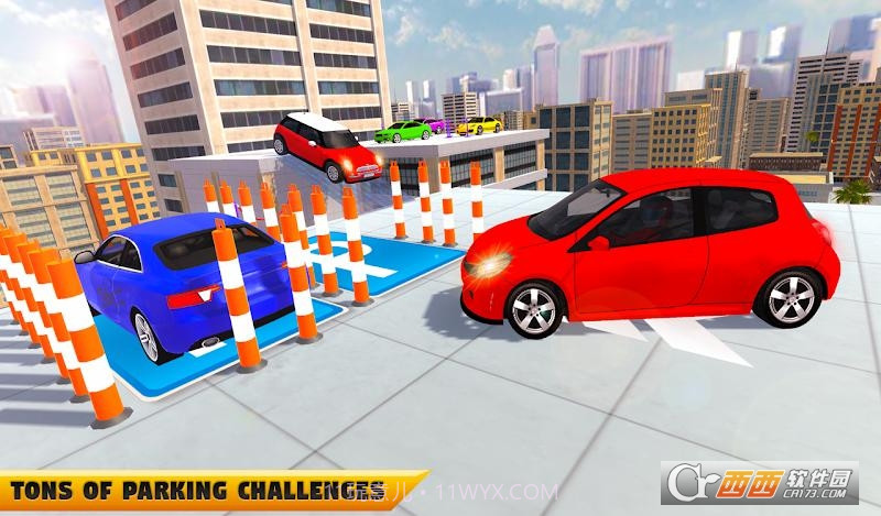 真正的停车大师截图1