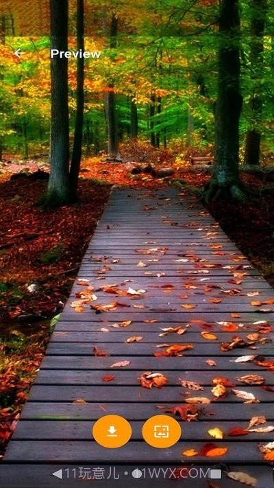 全球主题和壁纸截图4 全球主题和壁纸截图4