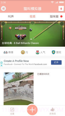 猫叫模拟器截图2